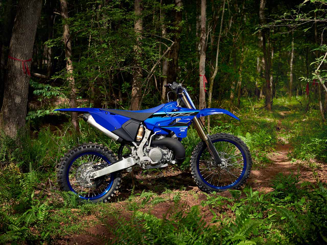 2021 Yamaha YZ250FX For Sale at TeamMoto New Bikes Enoggera Yamaha